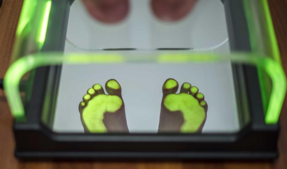analyse voutte planterre